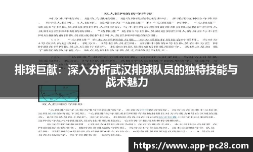 排球巨献：深入分析武汉排球队员的独特技能与战术魅力