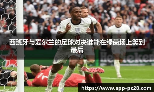 西班牙与爱尔兰的足球对决谁能在绿茵场上笑到最后